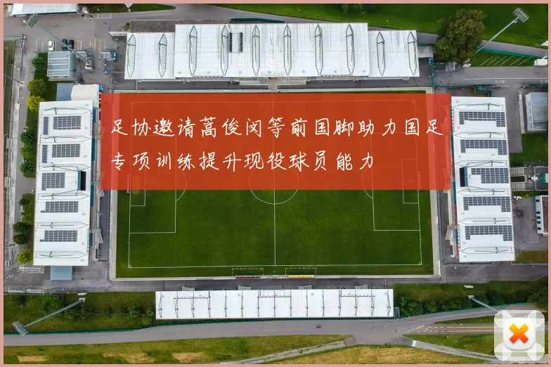 足协邀请蒿俊闵等前国脚助力国足专项训练提升现役球员能力