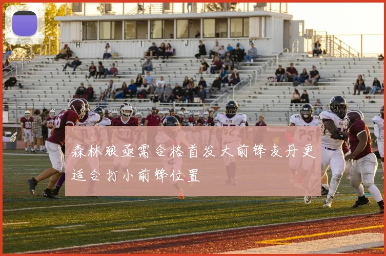 森林狼亟需合格首发大前锋麦丹更适合打小前锋位置
